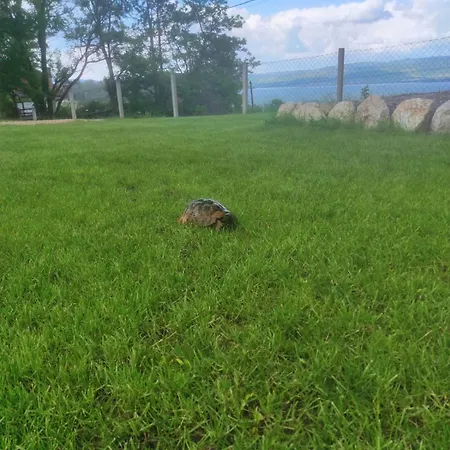 度假居 Brvnara Carpe Diem *